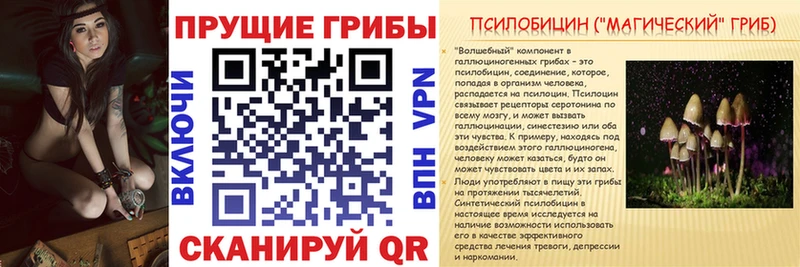 Псилоцибиновые грибы мицелий  Грязи 